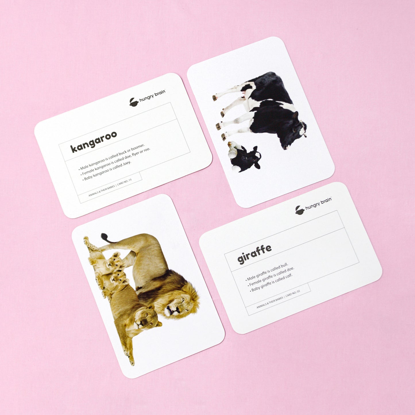 Animals & Their Babies Flashcards – Build Early Animal Knowledge