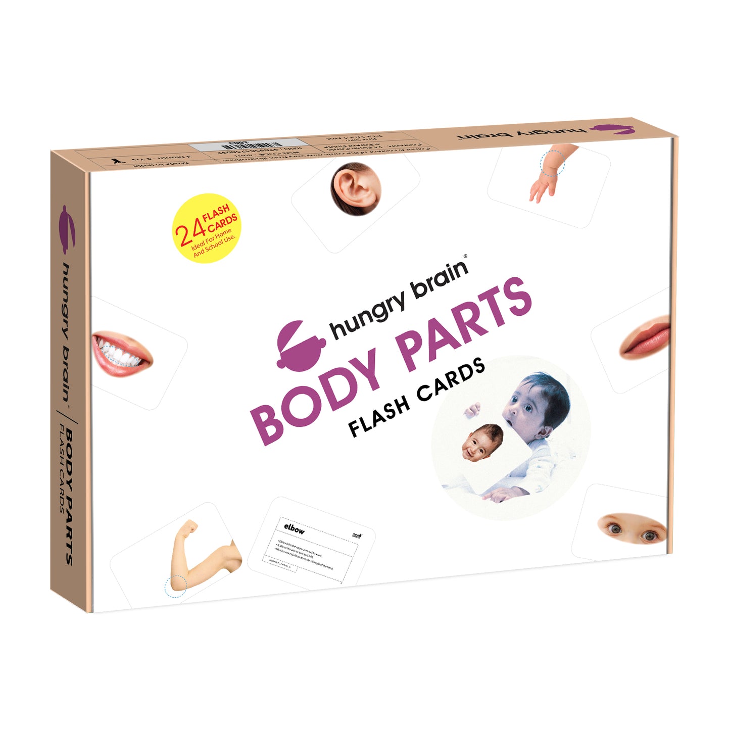 Body Parts Flash Cards