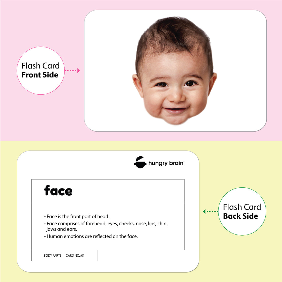 Body Parts Flash Cards