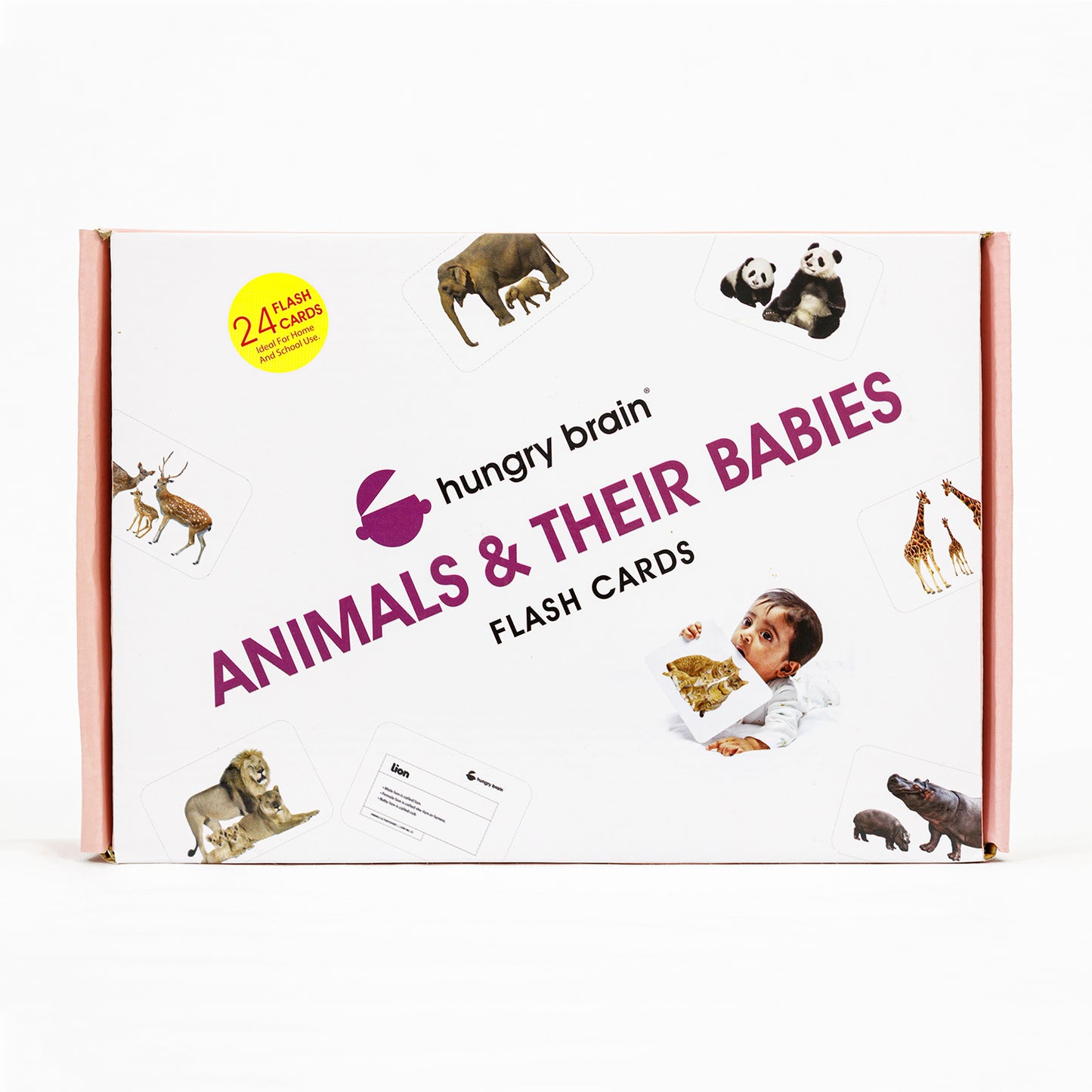 Animals & Their Babies Flash Cards