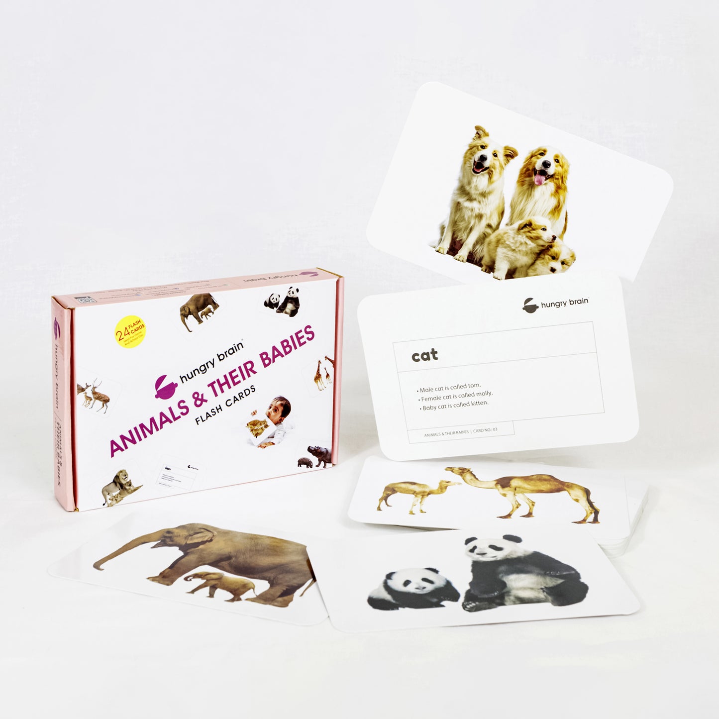 Animals & Their Babies Flashcards – Build Early Animal Knowledge