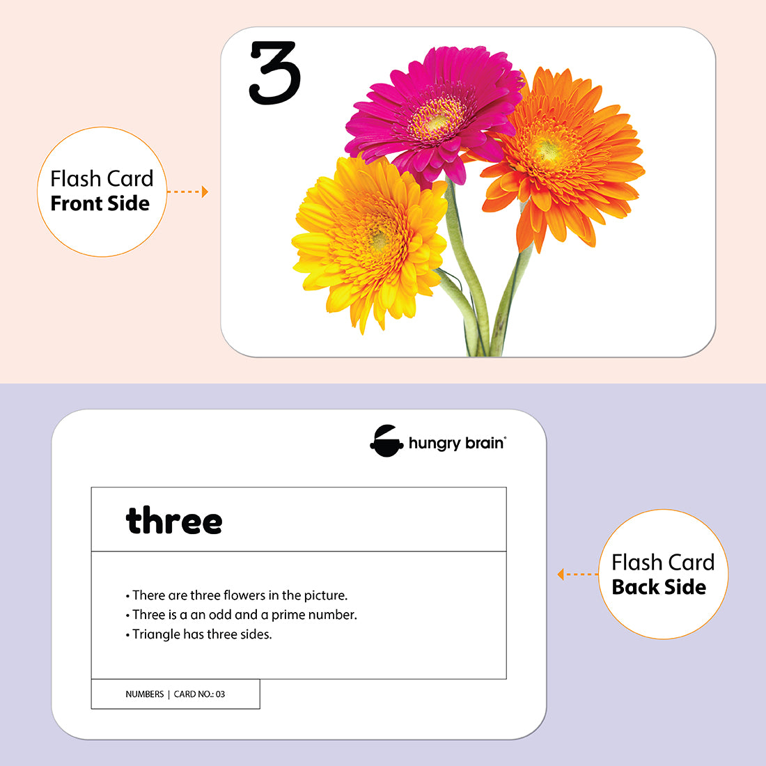 Numbers Flash Cards