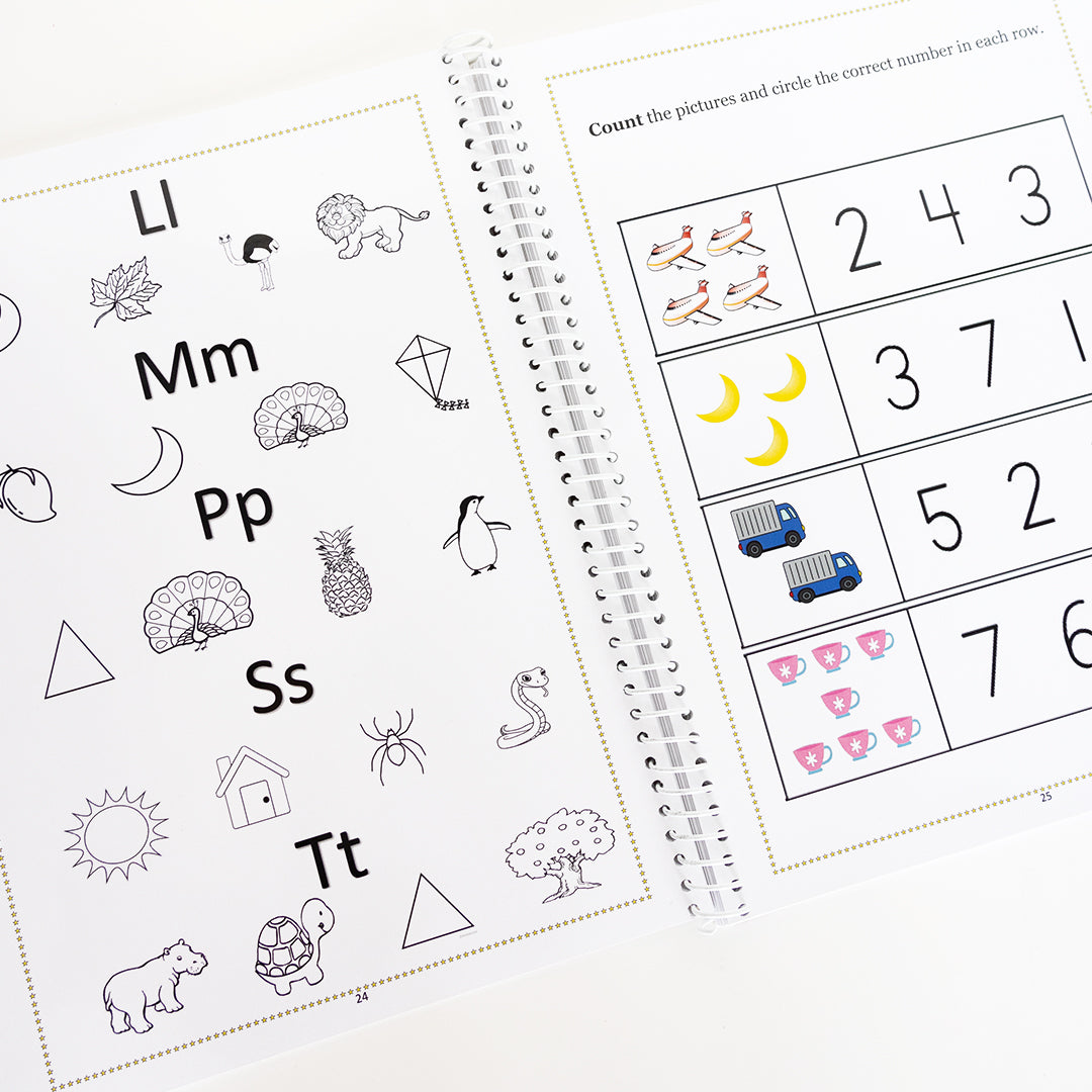The Busy Toddler Resuable Discovery