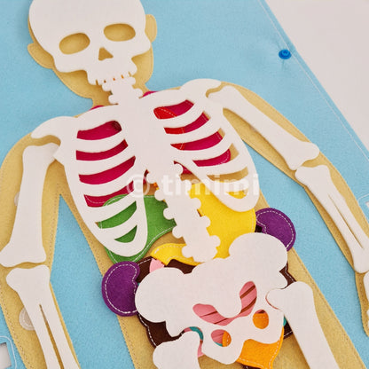 Inside My Body – Montessori-Inspired Human Anatomy Playset
