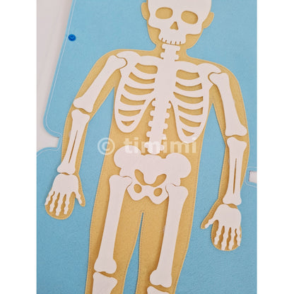 Inside My Body – Montessori-Inspired Human Anatomy Playset