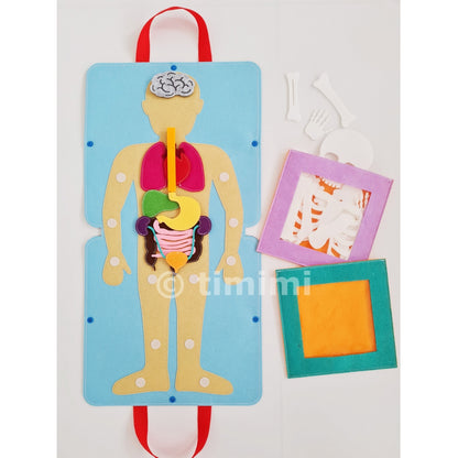 Inside My Body – Montessori-Inspired Human Anatomy Playset