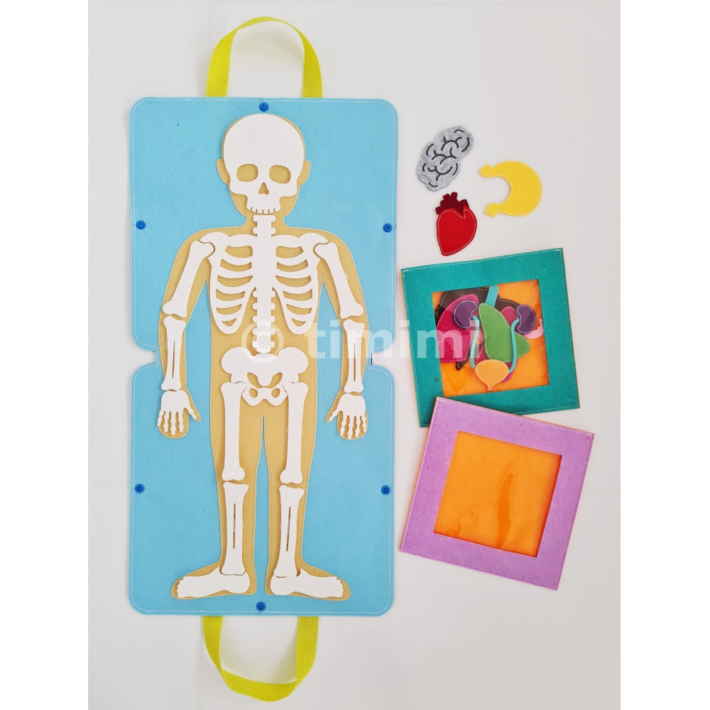 Inside My Body – Montessori-Inspired Human Anatomy Playset