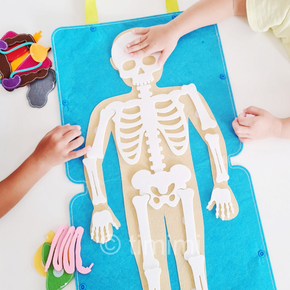 Inside My Body – Montessori-Inspired Human Anatomy Playset