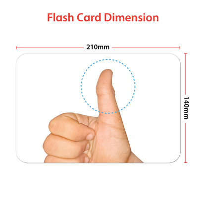 Body Parts Flash Cards